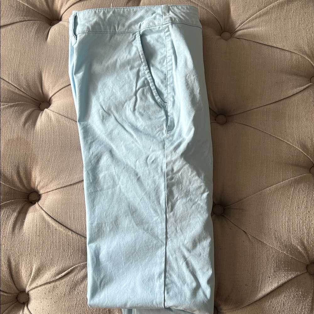 Lane Bryant plus size pants